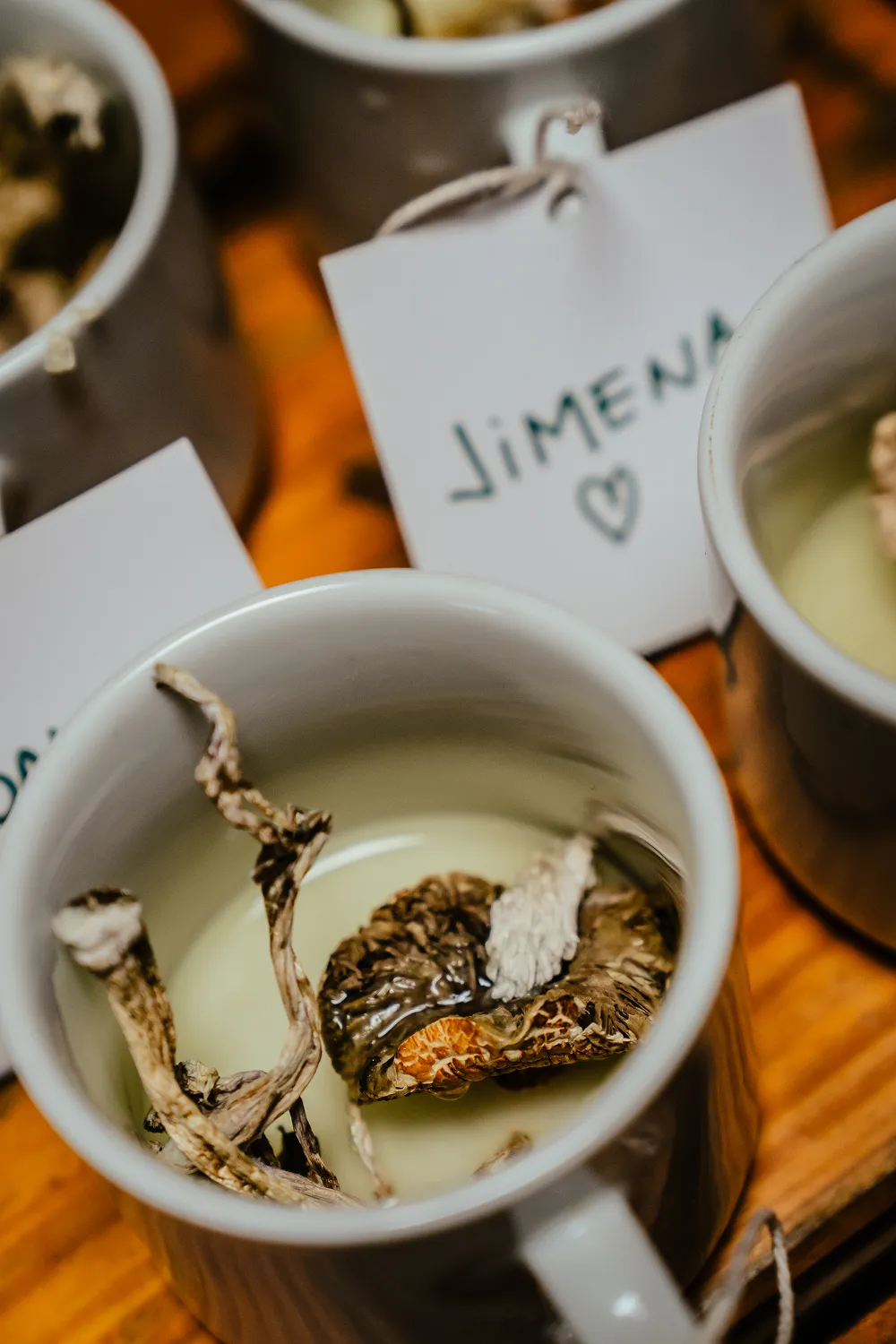 Medicina de la naturaleza