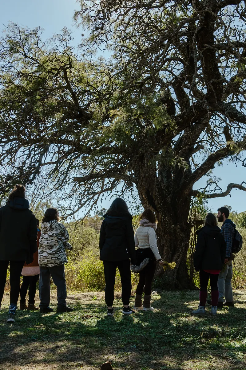 Retiro Unión - Córdoba Argentina