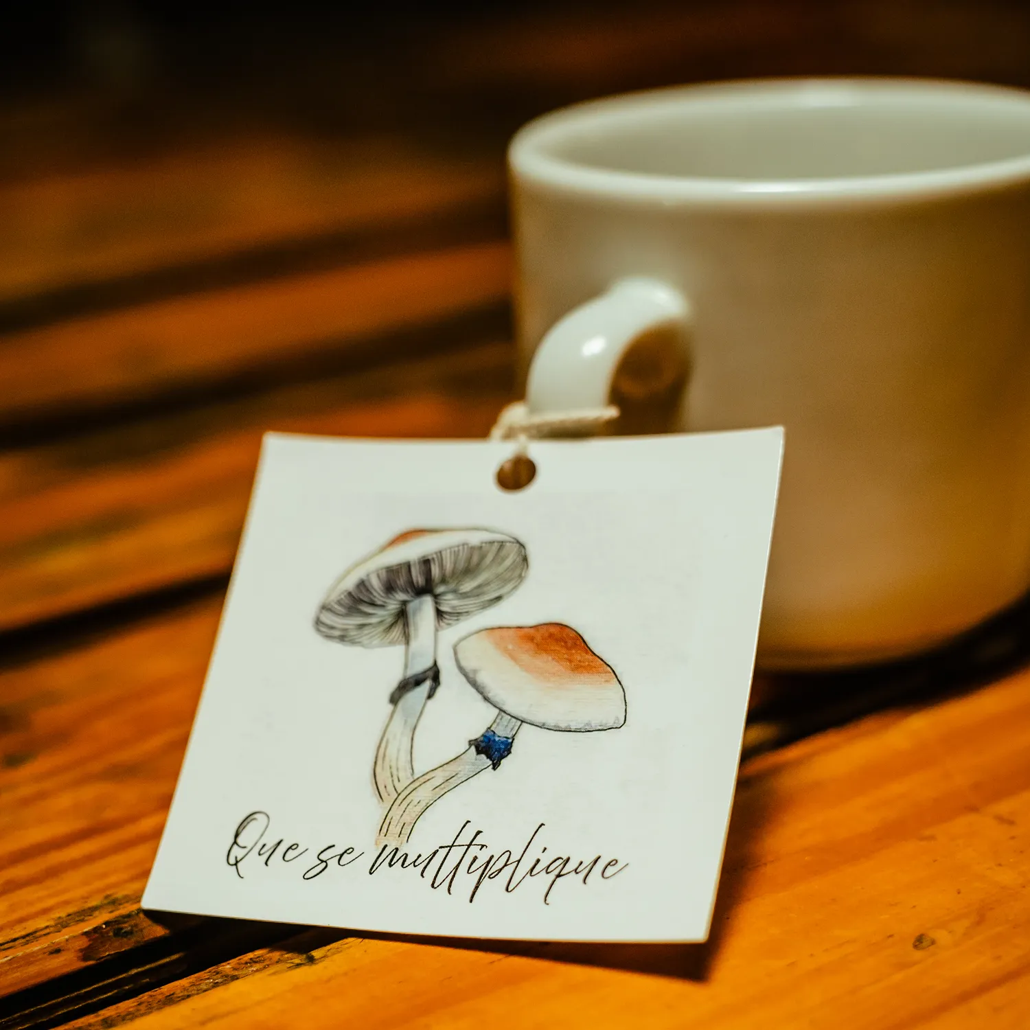 Terapia Asistida con Psicodélicos